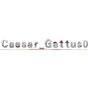 Ｃａｅｓａｒ＿Ｇａｔｔｕｓ０ (Kassel executive branch)