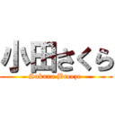 小田さくら (Sakura Breeze )