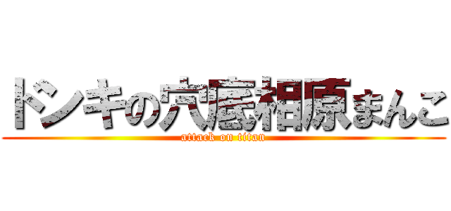 ドンキの穴底相原まんこ (attack on titan)