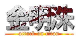 金明洙 (attack on titan)