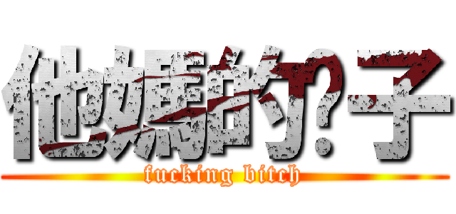 他媽的婊子 (fucking bitch)