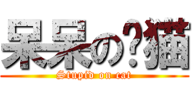 呆呆の傻猫 (Stupid on cat)