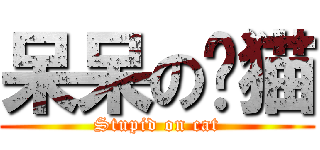 呆呆の傻猫 (Stupid on cat)