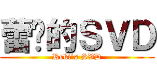 蕾姬的ＳＶＤ (Reki‘s SVD)