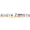 Ａｎｄｒé Ｚａｍｏｒａ ()