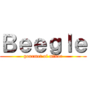 Ｂｅｅｇｌｅ (gourmet of minor)