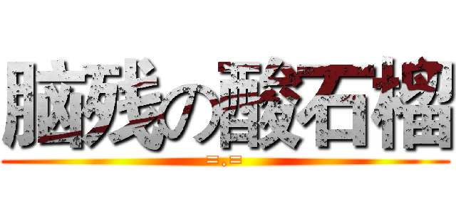 脑残の酸石榴 (=.=)