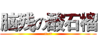 脑残の酸石榴 (=.=)