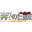 奔跑の白臉 (WTF)