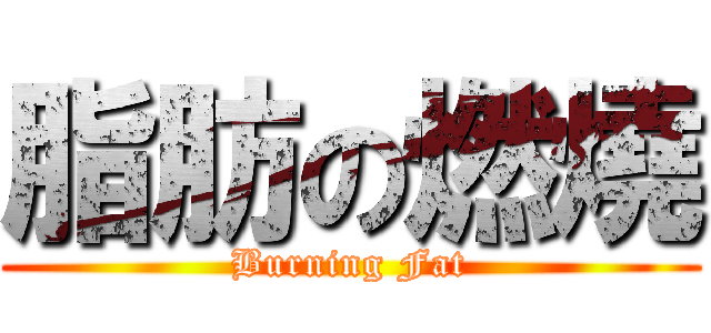 脂肪の燃燒 (Burning Fat)