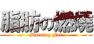 脂肪の燃燒 (Burning Fat)