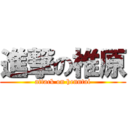 進撃の椎原 (attack on henntai)