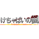 けちゃぱいの楓 (Kechapai of kaede)