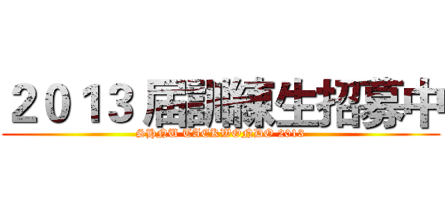 ２０１３ 届訓練生招募中 (SHNU TAEKWONDO 2013)