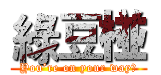 綠豆椪 (You’re on your way！)