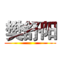 樊舒阳 (        )