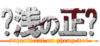 肤浅の正伟 (superficial on zheng wei)