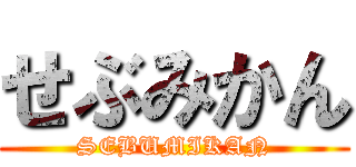 せぶみかん (SEBUMIKAN)