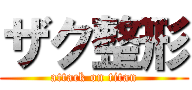 ザク整形 (attack on titan)