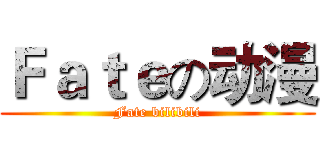 Ｆａｔｅの动漫 (Fate bilibili)