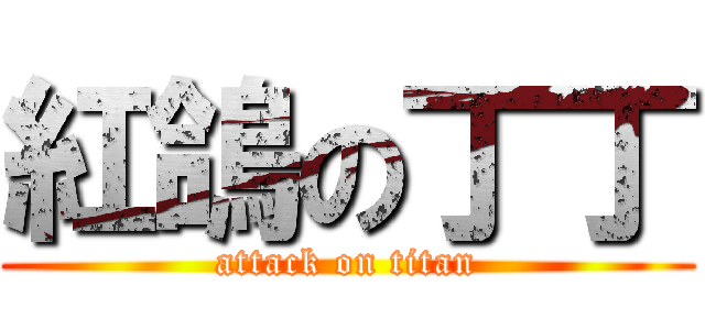 紅鴿の丁丁 (attack on titan)
