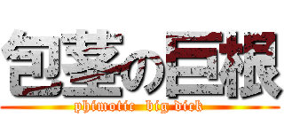 包茎の巨根 (phimotic  big dick)