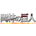 岡林の巨人 (attack on titan)