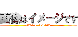 画像はイメージです (gazou ha image desu)