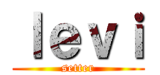 ｌｅｖｉ (setter)