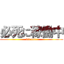 必死に稼働中 (kit auto)