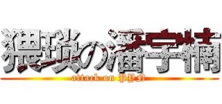 猥琐の潘宇楠 (attack on PYN)