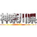 神奈川県 (ｋａｎａｇａｗａ)