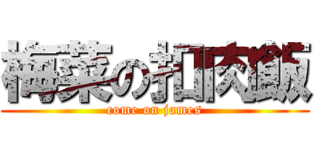 梅菜の扣肉飯 (come on james)