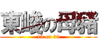 東峻の母豬 (13 on 39)