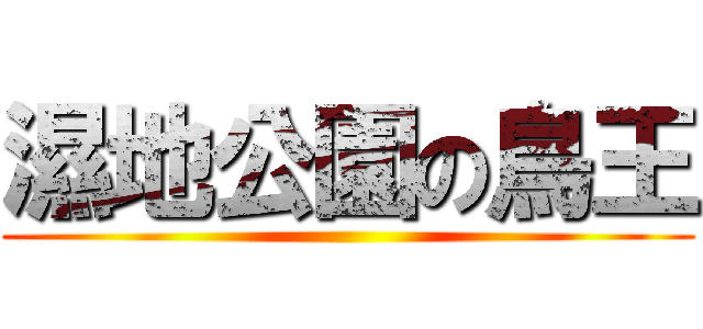 濕地公園の鳥王 ()