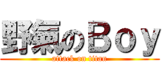 野氣のＢｏｙ (attack on titan)