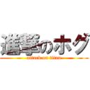 進撃のホグ (attack on titan)