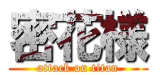 密花様 (attack on titan)