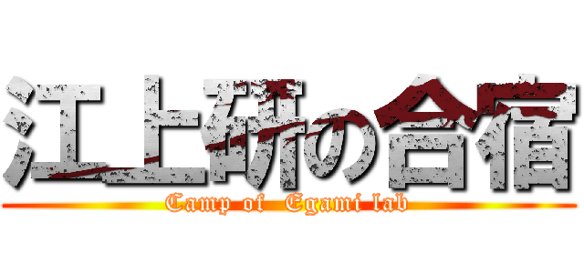 江上研の合宿 (Camp of  Egami lab)