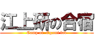 江上研の合宿 (Camp of  Egami lab)