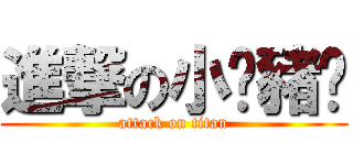 進撃の小雞豬貓 (attack on titan)