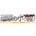 進撃の小雞豬貓 (attack on titan)