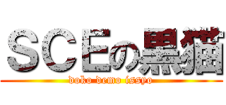 ＳＣＥの黒猫 (doko demo issyo)