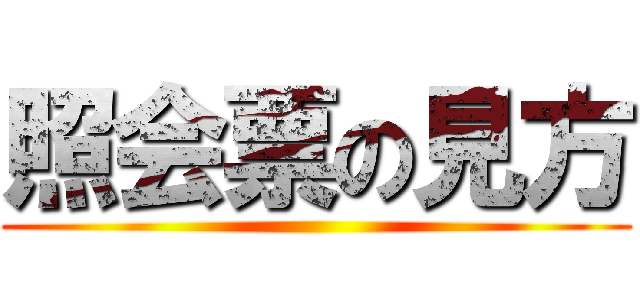 照会票の見方 ()