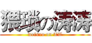 猥琐の涛涛 (weisuo on TT)