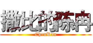 撒比的陈冉 (ChenRan)