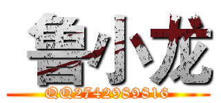  鲁小龙 (QQ2742989816)