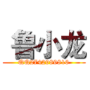  鲁小龙 (QQ2742989816)