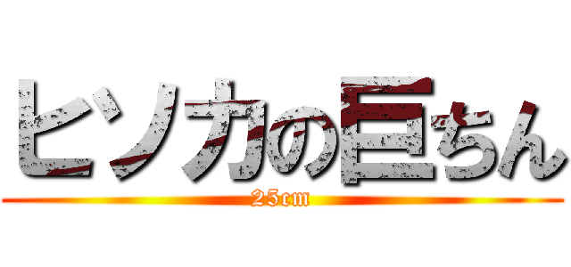 ヒソカの巨ちん (25cm)