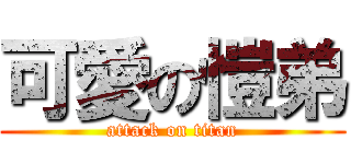 可愛の愷弟 (attack on titan)